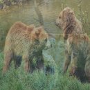 드럼연주A | 전자드럼 패드 층간소음 걱정 없이 즐기는 방법