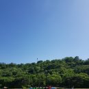 인세미 이미지