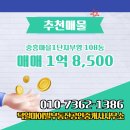 부영부동산공인중개사사무소 이미지