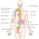 피오니 스킨 앤 바디 이미지