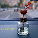 주니캔들 이미지