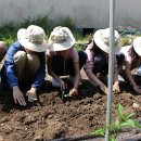 강진옴천초등학교 이미지