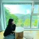 가평여행 숙소 찾고 있다면? 실내외 수영장이 있는 남이섬리버노스풀빌라 추천 내돈내산후기