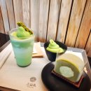 노블레스미디어 | [2박3일] 제주도여행 후기 2일차 (제주도981카트, 오설록 티뮤지엄, 아르떼뮤지엄 제주)