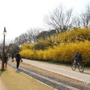 육신사(구) 이미지