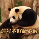 데구르르 이미지