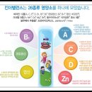 비알에프 | 어린이영양제 MIA 킨더밸런스& 피유에프에이 골드 오메가3