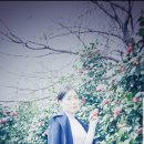 온천천일대3 이미지