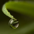 자연다움 이미지