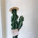 석주농장 이미지