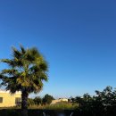 이른비스테이 이미지