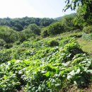 설악농장 이미지