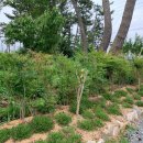 태안 머드캠프 펜션 이미지