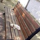 하얀책상 이미지