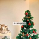그라운드소요 - 113405 | 그라운드소요