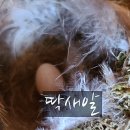 둥지2농장 이미지