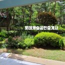 방배로28길 80 이미지