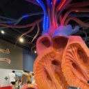 문형동림로 이미지