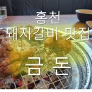 금돈돼지 이미지