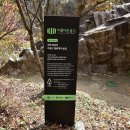 용연공원(도로변) Daum카페