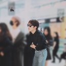멋쟁이 이미지