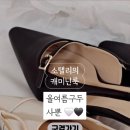 아린스 이미지