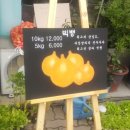 서울종묘사 네이버블로그