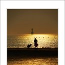 신두리해수욕장 이미지