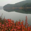 모란행정사 이미지