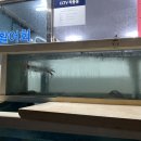 금산산오징어횟집