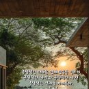 헬스기구총판
