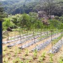 물소리 펜션 이미지