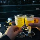 르쁘띠베레 | 캠핑 와인 ) 임산부 무알콜 와인으로 유명한 르쁘띠베레 무알콜 샴페인 즐긴 후기