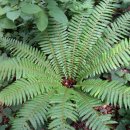 산기리마을회관 이미지