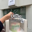 내돈내산 울산 레터링케이크 아아무 디자인 정말 예쁜 곳, 미니케이크 가격 사이즈