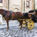 자동차이야기 이미지