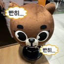 성진물류(주) | 탈 많고 말도 오지게 많은 데이식스 데니멀즈 팝업