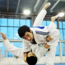 용인대안산유도체육관 이미지