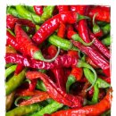 좋은느낌산부인과의원 이미지