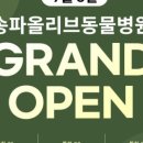 올리브동물병원 이미지