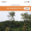 어망골 캠핑장 이미지