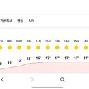 장터목 Daum카페