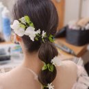 헤어피아 이미지