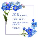 화사하게 웃는 화요일 되세요. 이미지