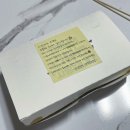 타코랜드타코야끼 이미지