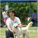 도그피아 이미지