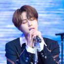 플레로마 이미지