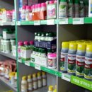 평화종묘사 이미지