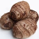 무지개푸드 이미지