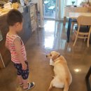위미로와 이미지